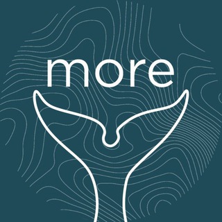 Логотип @morebar - MORE