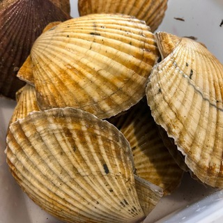 Логотип @moreproduktysakhalin65 - МОРЕПРОДУКТЫ НА ДОМ | САХАЛИН🦀🦐🐟