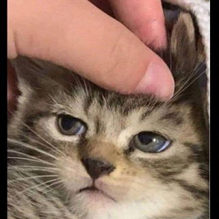 Логотип @moreselffcare - 💜Все для твоей инст 💜