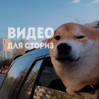 Логотип @morestori - MORESTORI - видео, фоны, стикеры для сториз - бесплатно