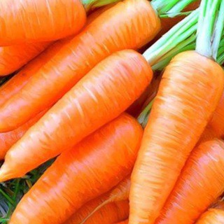 Логотип @morkvynkacomics - Студія перекладу Морквинка