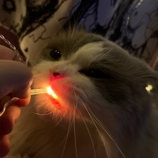 Логотип @morphe_ya_vods - Записи стримов morphe_ya