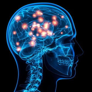 Логотип @morphologi - Путеводитель. Морфология. 1.0