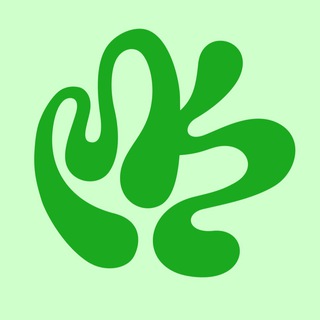 Логотип @morskayakapustavl - МОРСКАЯ КАПУСТА