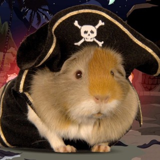 Логотип @morskieefc - ФК Морские Свинки