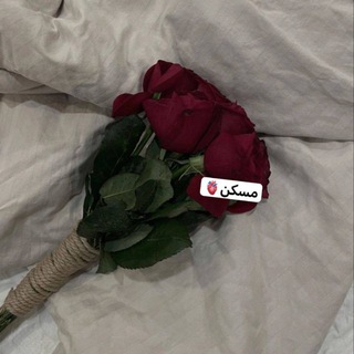 Логотип @mosa_kin - مُـسَکٌِـن 💊