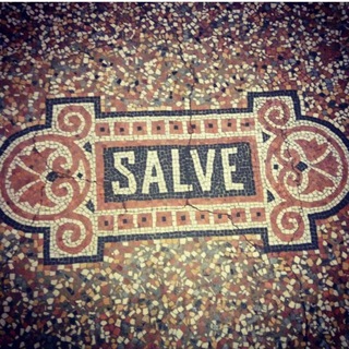 Логотип @moscow_ant_al - Жизнь московского муравья