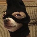 Логотип @moscow_hahaha - Психология смеха