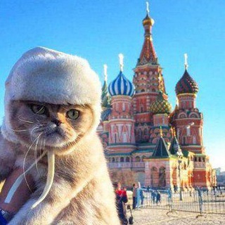 Логотип @moskva_kuda - Афиша МОСКВЫ