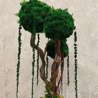 Логотип @mossinlife - Подарки и декор из мха стабилизированного