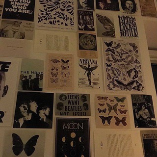 Логотип @motifif - motivation🦪🕸️