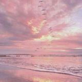 Логотип @motivatsiya16 - Мотивация