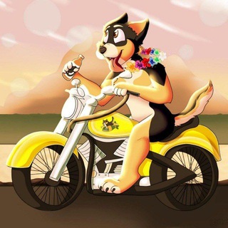 Логотип @motofurries - Moto Furries waiting room (Old chat)