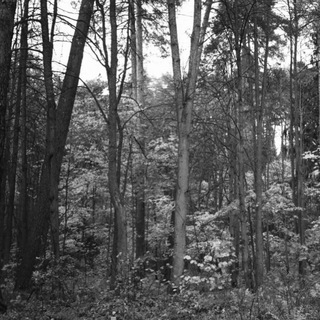 Логотип @motorama - Motorama