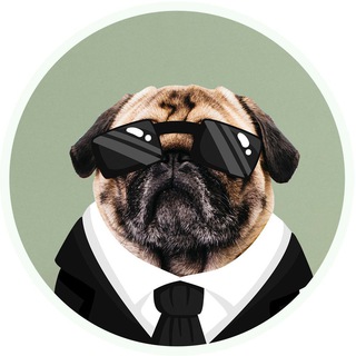 Логотип @motvator - Кодекс успеха | Просто о бизнесе