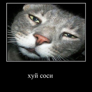 Логотип @motyachat - Motya chat
