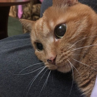 Логотип @mouistoruu - красава