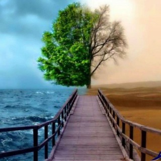 Логотип @movafaghiyat_org - روانشناسی،موفقیت،زندگی❤