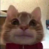 Логотип @movies_rubot - Фильмы и Сериалы