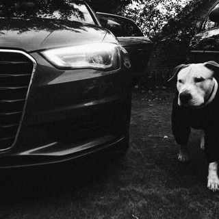 Логотип @movimento0001 - Movimento0001🌚