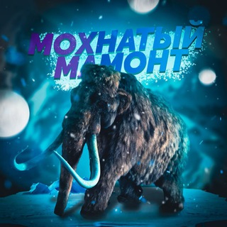 Логотип @moxnatka_mamonta - Мохнатый мамонт🦣