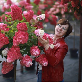 Логотип @moy_sadik - @мой_садик