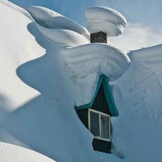 Логотип @moya_derevnja - Жизнь в деревне