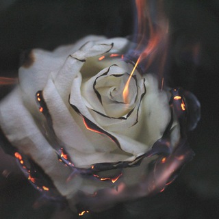 Логотип @moya_ti_lubov - Моя любовь