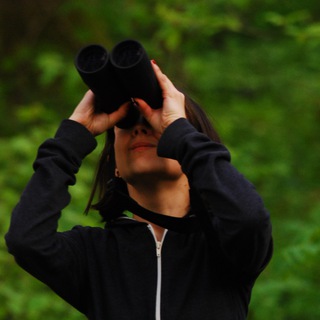 Логотип @moyaptashka - Moyaptashka