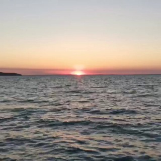 Логотип @moyataman - Моя Тамань 🌊🍇