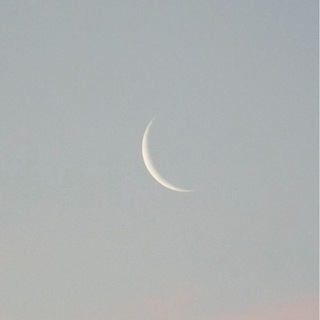 Логотип @moyauslada - убежище ོ