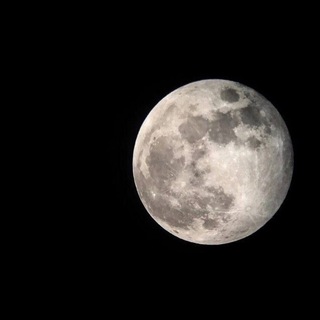 Логотип @moypokoy08 - невзрачная.