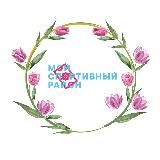 Мой спортивный район