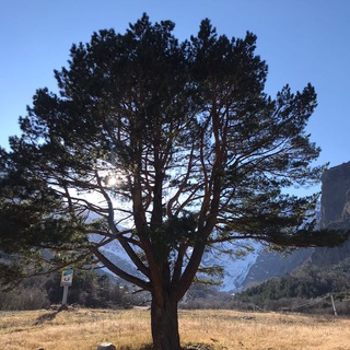 Логотип @moyvladikavkaz - Мой Владикавказ