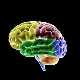 Логотип @mozgolomkaje - Мозголомка