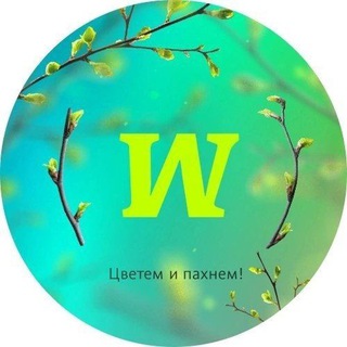 Логотип @mozgvasochi - Квиз "Мозгва" в Сочи/Адлере