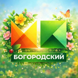 Логотип @mpbgo - Молодежный парламент БГО