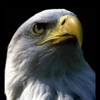 Логотип @mpfv0 - Enseñanzas del Pastor Ernesto