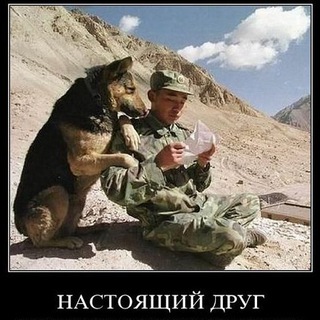 Логотип @mr_kript - Инфобизнес стиль жизни