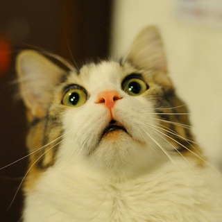 Логотип @mr_lurkk - Mr. Lurk