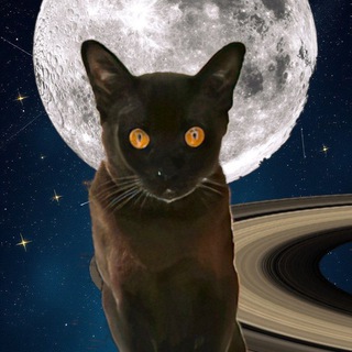 Логотип @mr_reading - Книгочей Мария и Ко