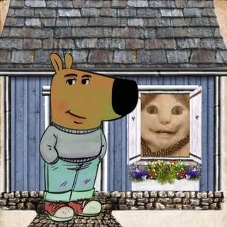 Логотип @mr_viscers - Вискерс 🐾