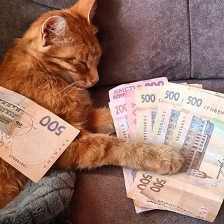 Логотип @mralpaches - 𝙈𝙧.𝘼𝙡𝙥𝙖𝙘𝙝𝙚𝙨