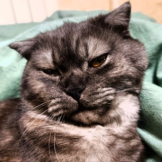 Логотип @mrbokobok - MrBokobok 2.0