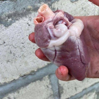 Логотип @mrccc17 - напомни.