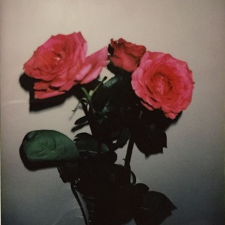 Логотип @mrienur - ✈️