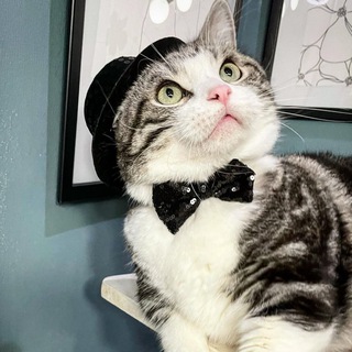 Логотип @mrimrs - Notícias Do Brasil