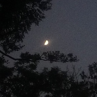 Логотип @mrpeppohblog - ᴘᴇᴘᴘᴏʜ's ᴡʀʟᴅ