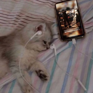 Логотип @mrphonksl - 👾Mr.phonk👾