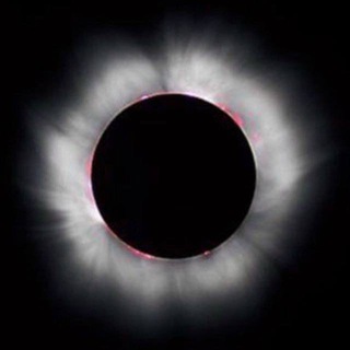 Логотип @mrpool_311_7722 - Mr. Pool